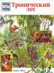 Книга Тропический лес автора Андреа Мертини