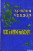 Книга Вечер в Гурджане автора Кришан Чандар