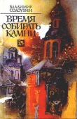 Книга Время собирать камни автора Владимир Солоухин