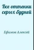 Книга Все оттенки серых будней автора Алексей Ефимов