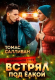 Книга Встрял под ёлкой (СИ) автора Томас Салливан