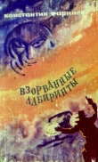 Книга Взорванные лабиринты автора Константин Фарниев