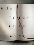 Книга What to Look for in Winter автора Candia McWilliam