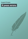 Книга Я умею летать автора Андрей Егоров