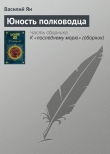 Книга Юность полководца автора Василий Ян