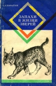 Книга Запахи в жизни зверей автора Сергей Корытин