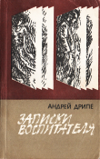 Книга Записки воспитателя автора Андрей Дрипе