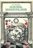 Книга Жизнь минералов автора А. Жабин