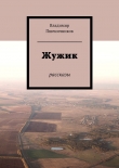 Книга Жужик автора Владимир Пшеничников