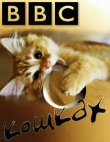 скачать книгу Би-Би-Си о кошках (сборник) автора Джейн Палмер