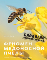 скачать книгу Феномен медоносной пчелы. Биология суперорганизма автора Юрген Тауц