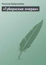 скачать книгу «Губернские очерки» автора Николай Добролюбов