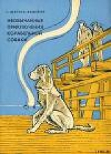 скачать книгу Необычайные приключения корабельной собаки автора Станислав Штраус-Федоров