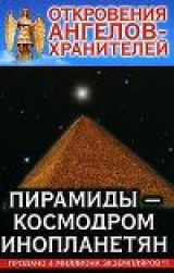 скачать книгу Пирамиды-Космодром Инопланетян автора Ренат Гарифзянов