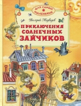 скачать книгу Приключения солнечных зайчиков автора Валерий Медведев