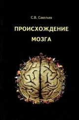 сергей савельев нищета мозга скачать