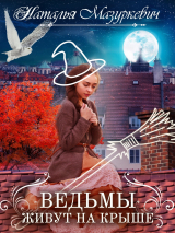скачать книгу Ведьмы живут на крыше автора Наталья Мазуркевич