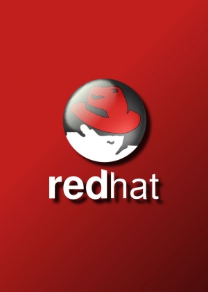 обложка книги Администрирование Red Hat Enterprise Linux - Никита Войтов