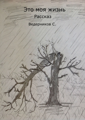 обложка книги Это моя жизнь (СИ) - Сергей Ведерников