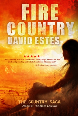 обложка книги Fire Country - David Estes