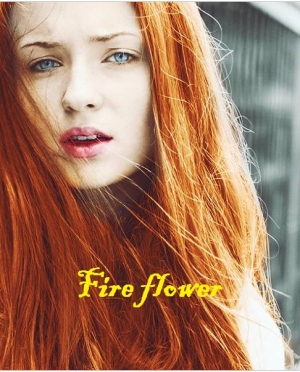 обложка книги Fire flower (СИ) - Skotra