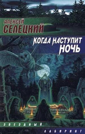 обложка книги Когда наступит ночь - Алексей Селецкий