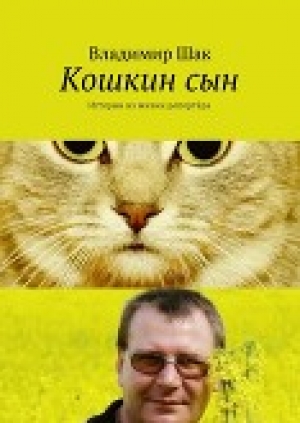 обложка книги Кошкин сын (СИ) - Владимир Шак