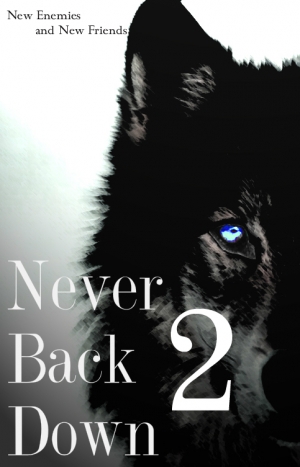 обложка книги Never Back Down 2 (СИ) - Menestrelia