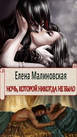 обложка книги Ночь, которой никогда не было (СИ) - Елена Малиновская