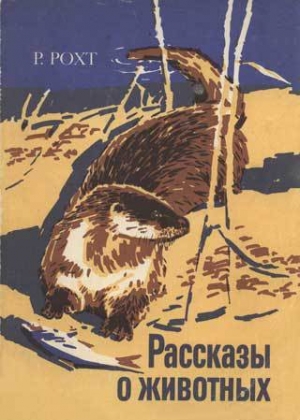 обложка книги Рассказы о животных - Рихард Рохт