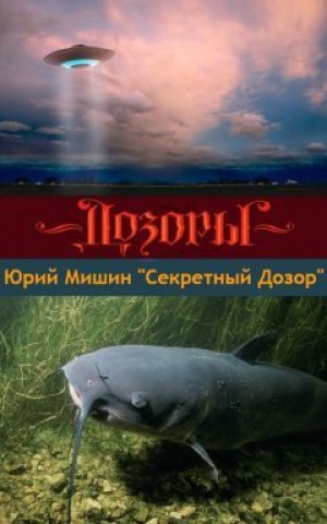 обложка книги Секретный Дозор - Юрий Мишин