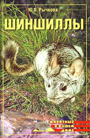 обложка книги Шиншиллы - Юлия Рычкова