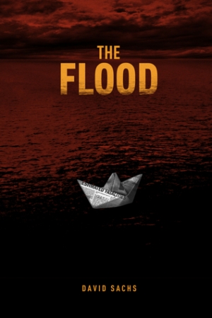 обложка книги The Flood - David Sachs