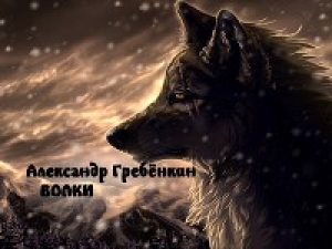 обложка книги Волки - Александр Гребёнкин