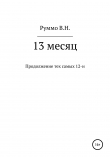 Книга 13 месяц автора Владимир Руммо