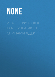 Книга 2. Электрическое поле управляет спинами ядер автора Коллектив авторов (Наука и Жизнь)