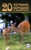 Книга 20 лучших историй о животных автора авторов Коллектив
