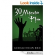 Книга 30 Minute Plan автора Джеральд Райс