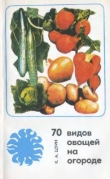 Книга 70 видов овощей на огороде автора Константин Шуин