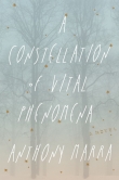 Книга A Constellation of Vital Phenomena автора Anthony Marra