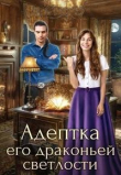 Книга Адептка его драконьей светлости (СИ) автора Джейн Анна