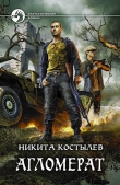 Книга Агломерат автора Никита Костылев