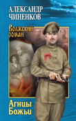 Книга Агнцы Божьи автора Александр Чиненков