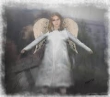 Книга Ангел с картонными крыльями (СИ) автора Владимир Борода