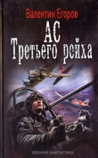Книга Ас Третьего рейха автора Валентин Егоров