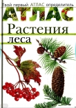 Книга Атлас. Растения леса автора Владислав Сивоглазов