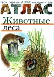 Книга Атлас. Животные леса автора Владислав Сивоглазов