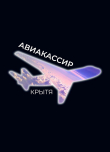 Книга Авиакассир автора Крытя