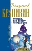Книга Бабушкин внук и его братья автора Владислав Крапивин