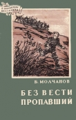 Книга Без вести пропавший автора Борис Молчанов